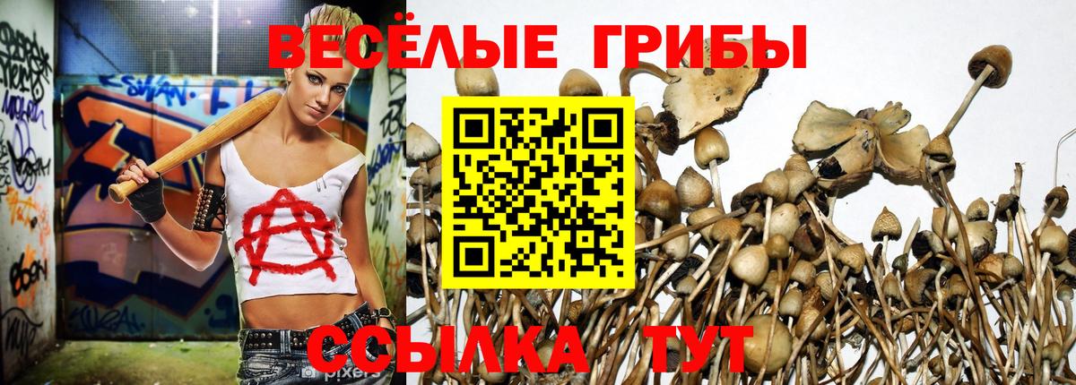 Псилоцибиновые грибы Magic Shrooms  Вход с VPN  Бузулук 